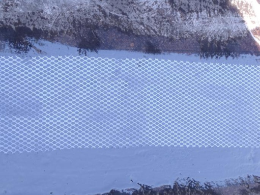 sgfa06.png